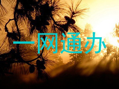 一网通办
