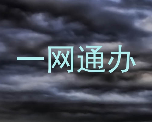 一网通办