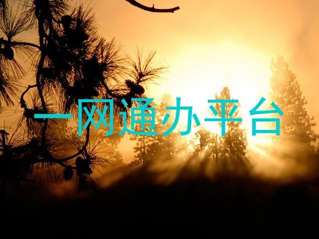 一网通办平台