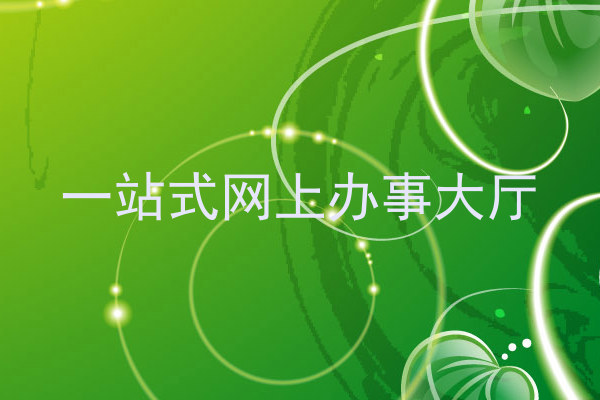 一站式网上办事大厅