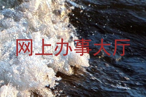 网上办事大厅