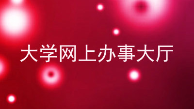 大学网上办事大厅