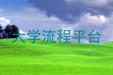 大学流程平台