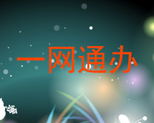 一网通办