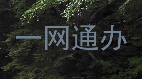 一网通办