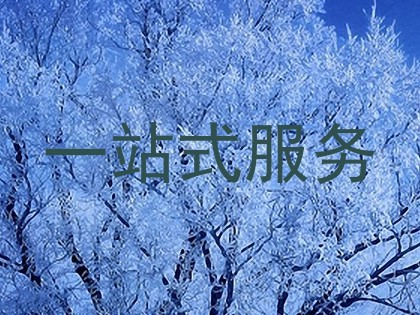 一站式服务