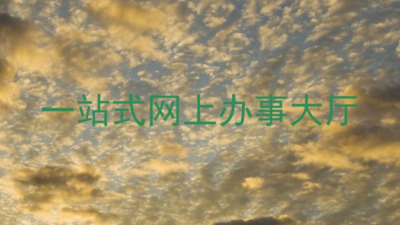 一站式网上办事大厅