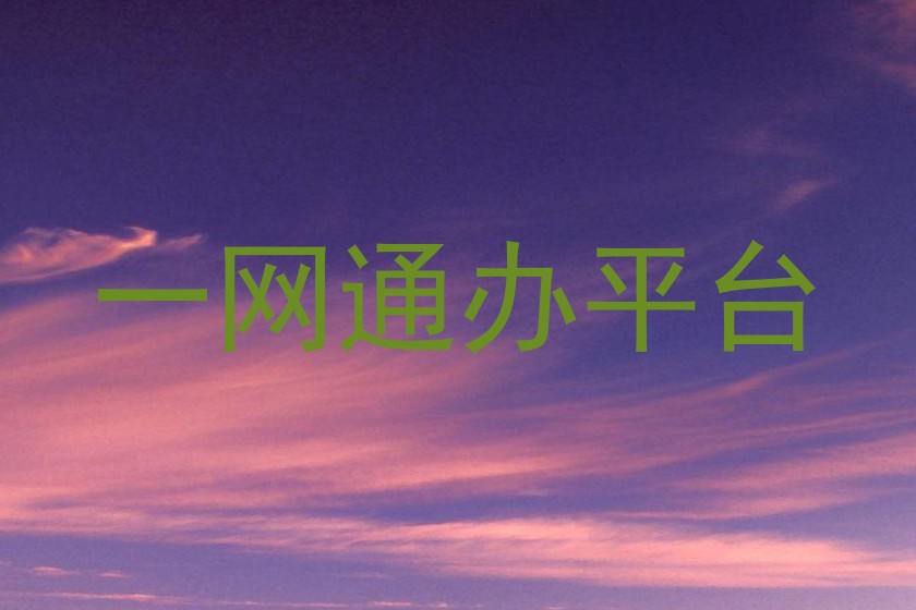 一网通办平台