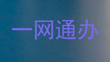 一网通办