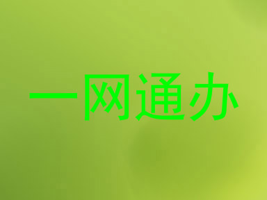 一网通办