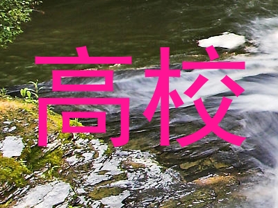 高校