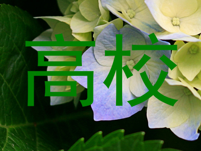高校