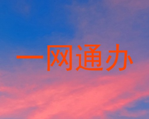一网通办