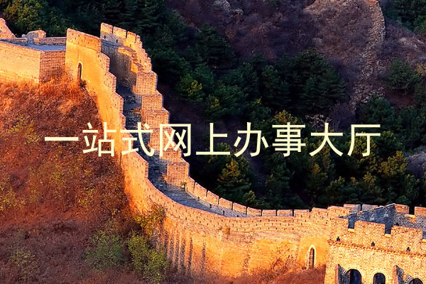一站式网上办事大厅