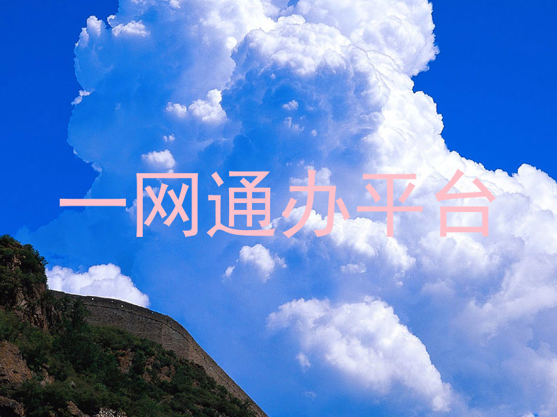 一网通办平台