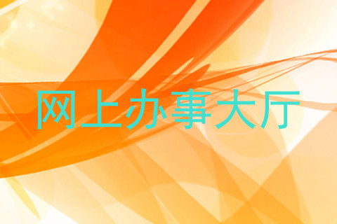 网上办事大厅
