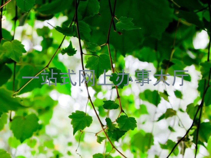 一站式网上办事大厅