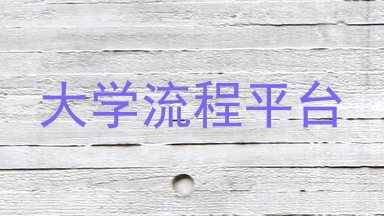 大学流程平台