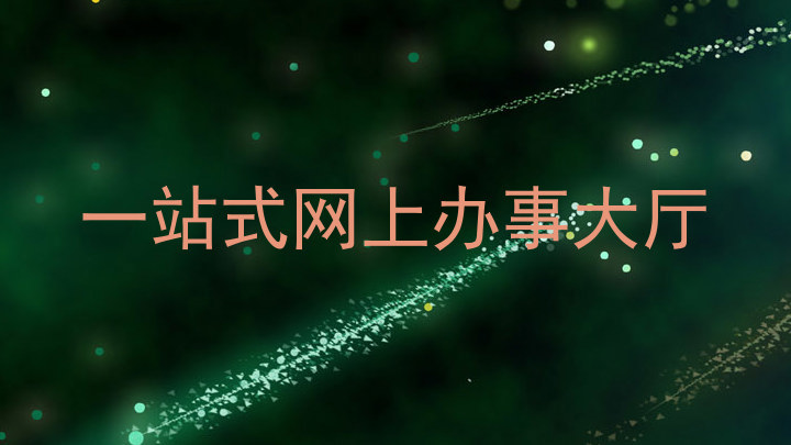 一站式网上办事大厅