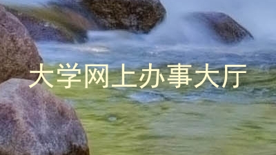 大学网上办事大厅