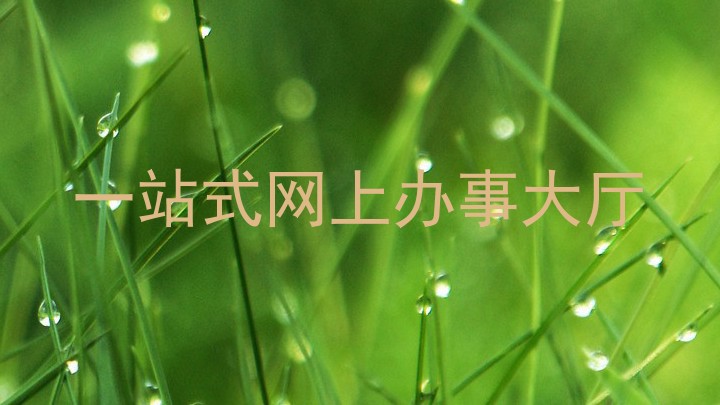 一站式网上办事大厅