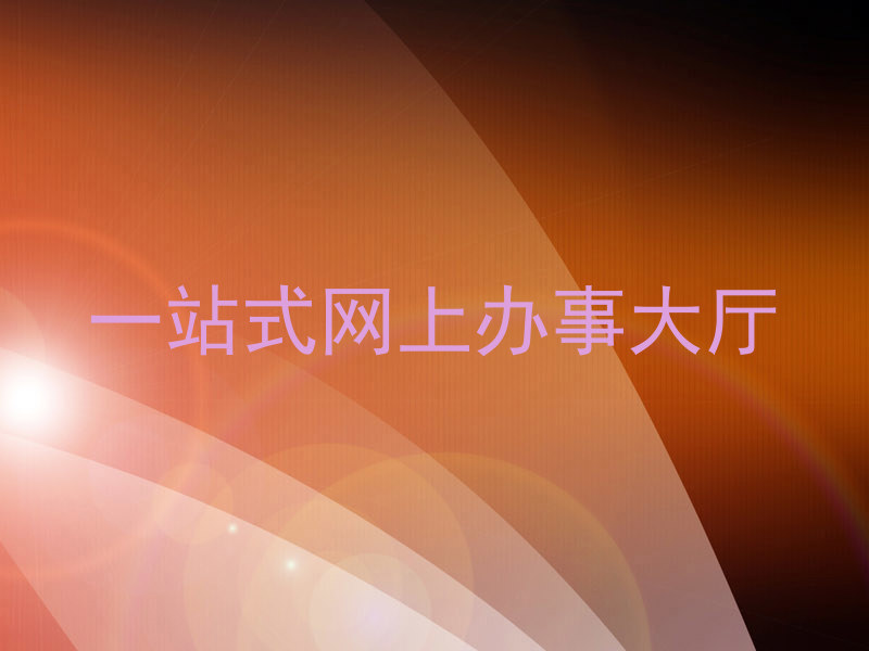 一站式网上办事大厅