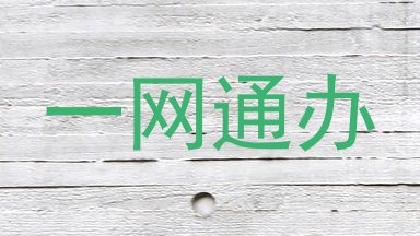一网通办