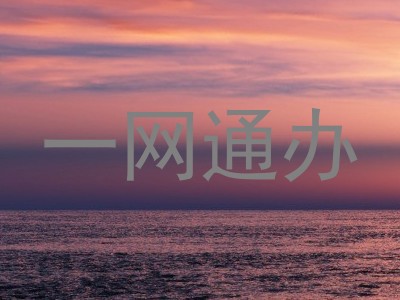 一网通办