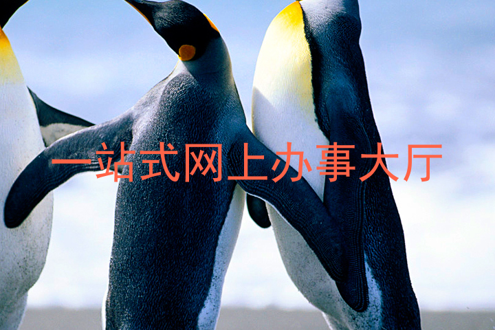 一站式网上办事大厅