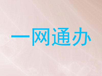 一网通办