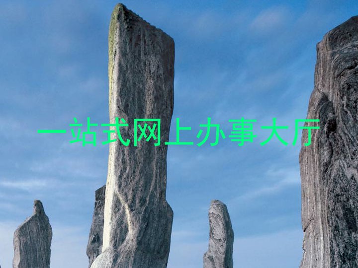 一站式网上办事大厅