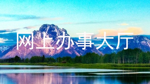 网上办事大厅