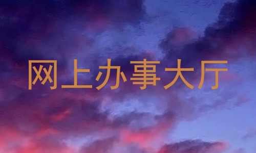 网上办事大厅