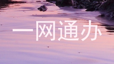 一网通办