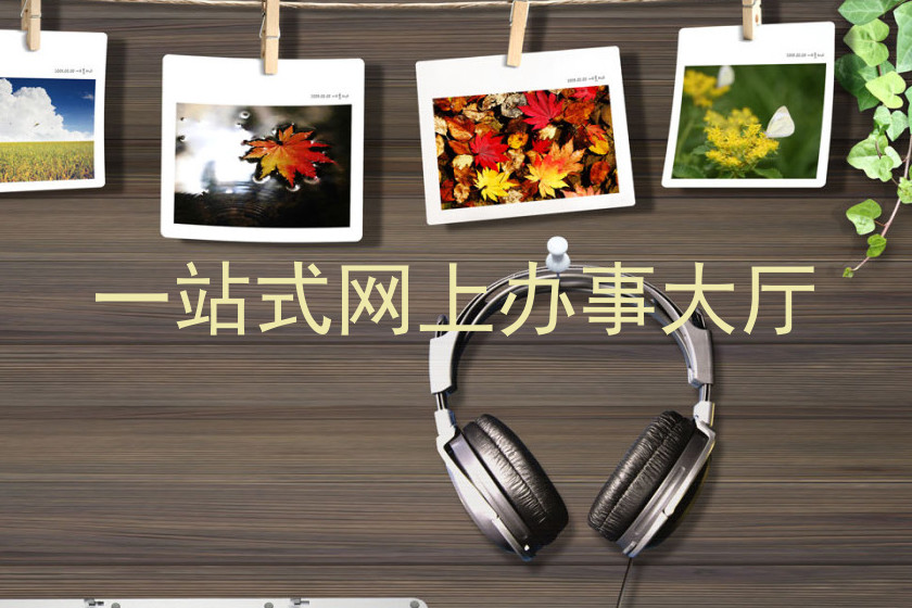 一站式网上办事大厅