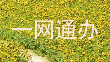 一网通办