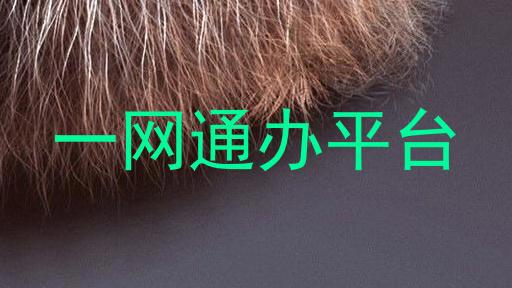 一网通办平台
