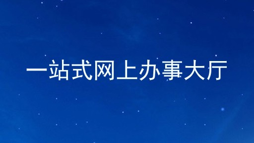 一站式网上办事大厅