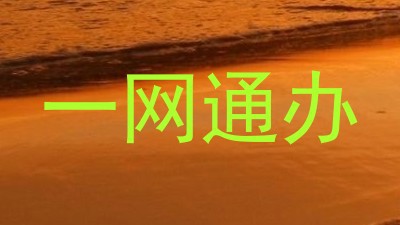 一网通办