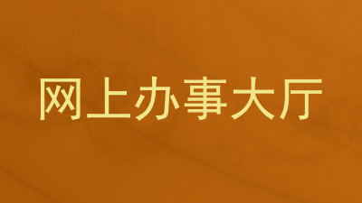 网上办事大厅