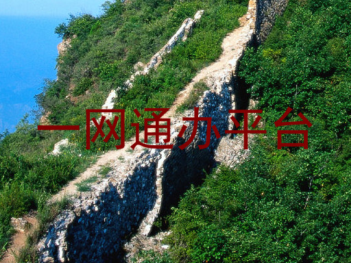 一网通办平台