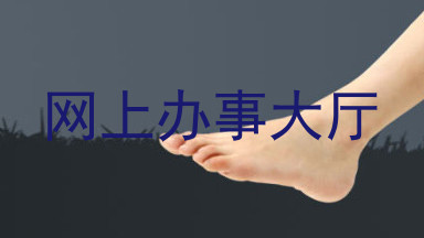 网上办事大厅