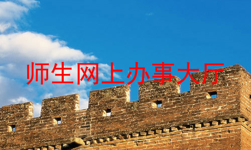师生网上办事大厅
