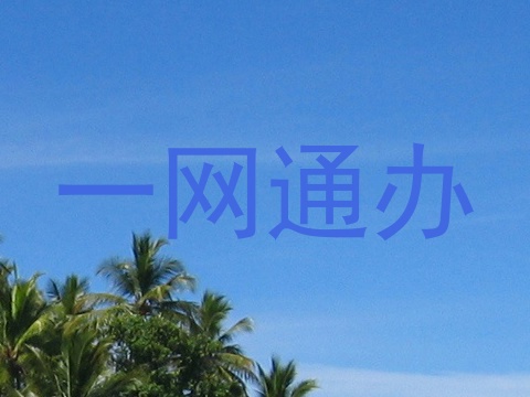 一网通办