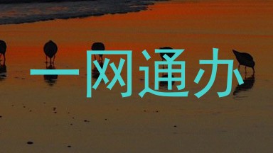 一网通办