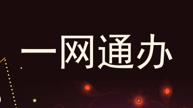 一网通办