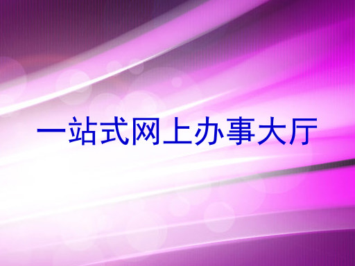 一站式网上办事大厅