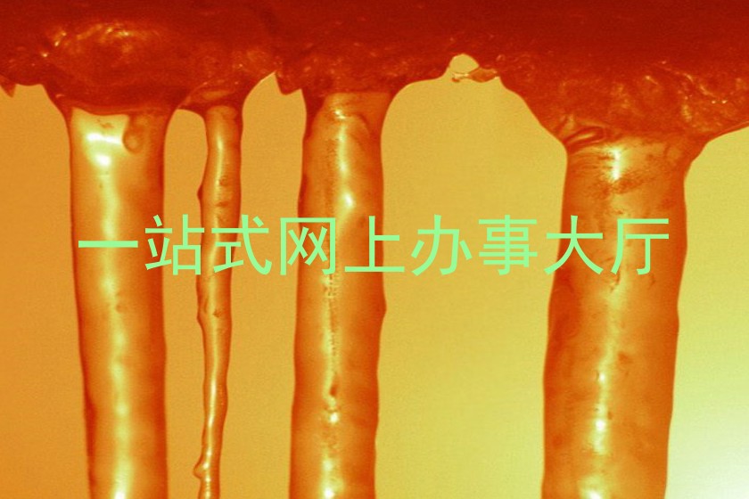 一站式网上办事大厅