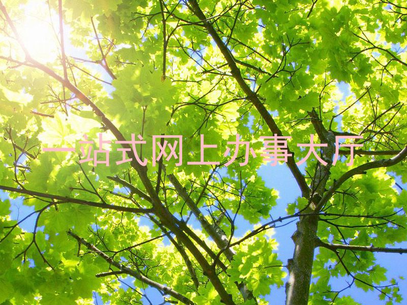 一站式网上办事大厅