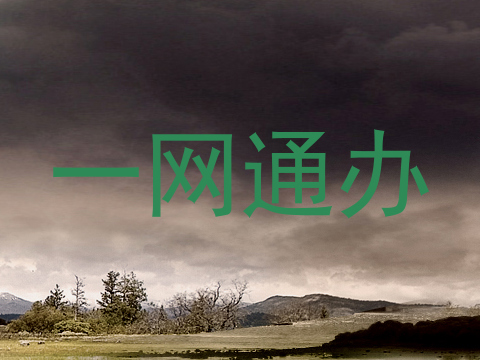 一网通办